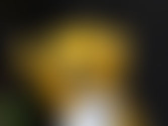 FGP: a Ginástica portuguesa tem um novo site oficial