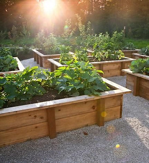 Raised Beds with Stone.jpg