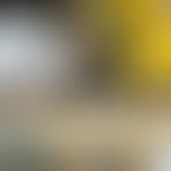 Adams Plumbing & Heating Unveils Comprehensive Idaho Springs Plumbing