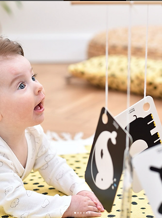 Screenshot 2025-10-16 220354.png