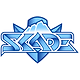SKADE.png