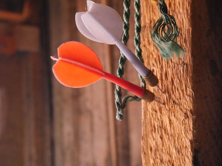 <img src=" life purpose" alt=" IKIGAI ">