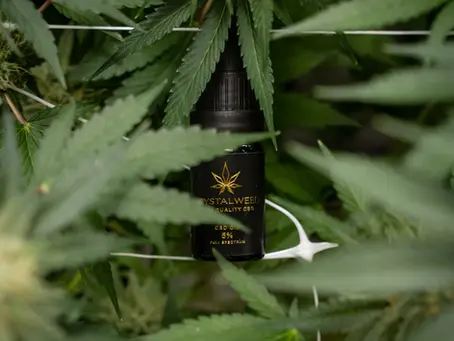 The Therapeutic Benefits of Cannabis Oils and Tinctures