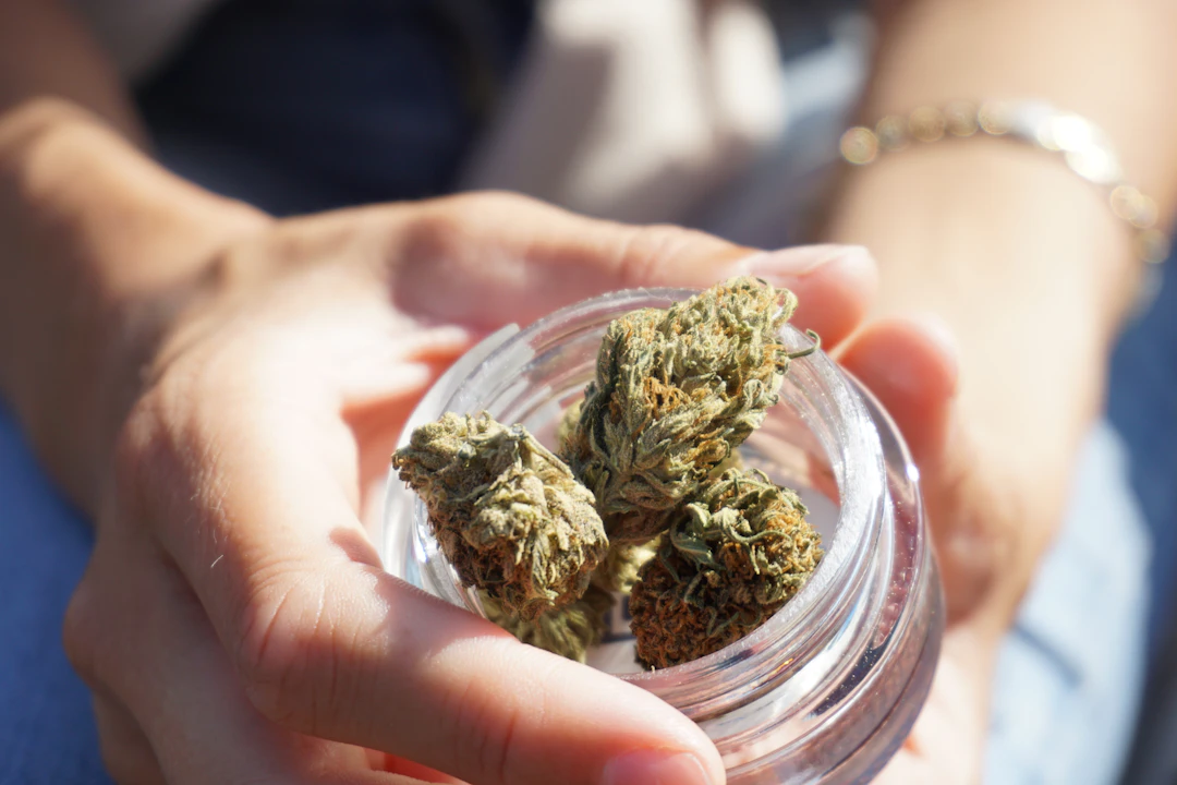 Unlock Your Potential: How to Create a Personalized Cannabis Wellness Plan