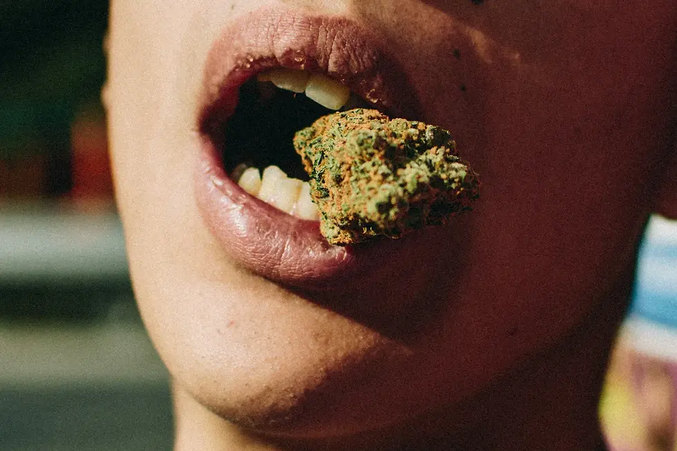 Exploring the Enticing Connection Between Cannabis and Appetite