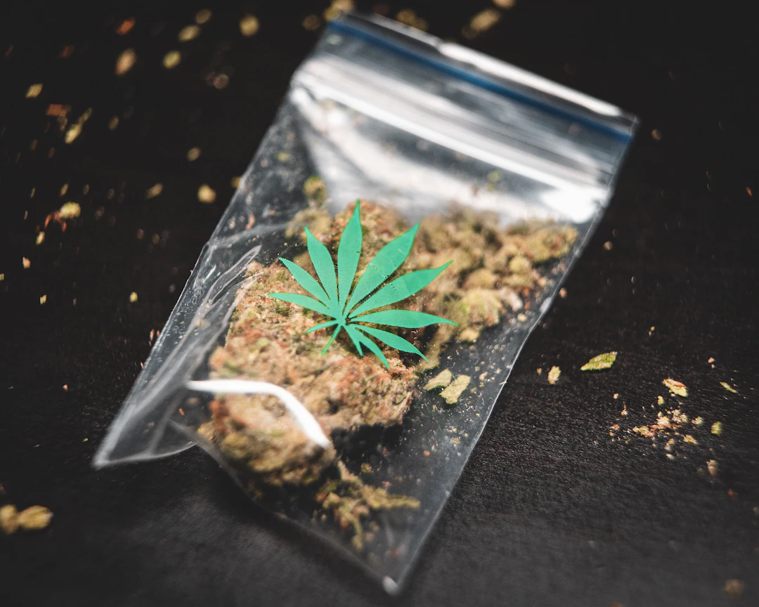 The Dynamic Link Between Cannabis and Muscle Recovery