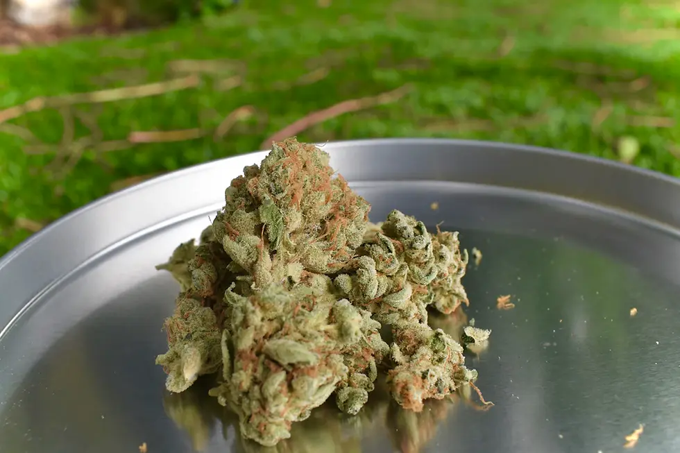 How Cannabis Can Help Manage Chronic Pain