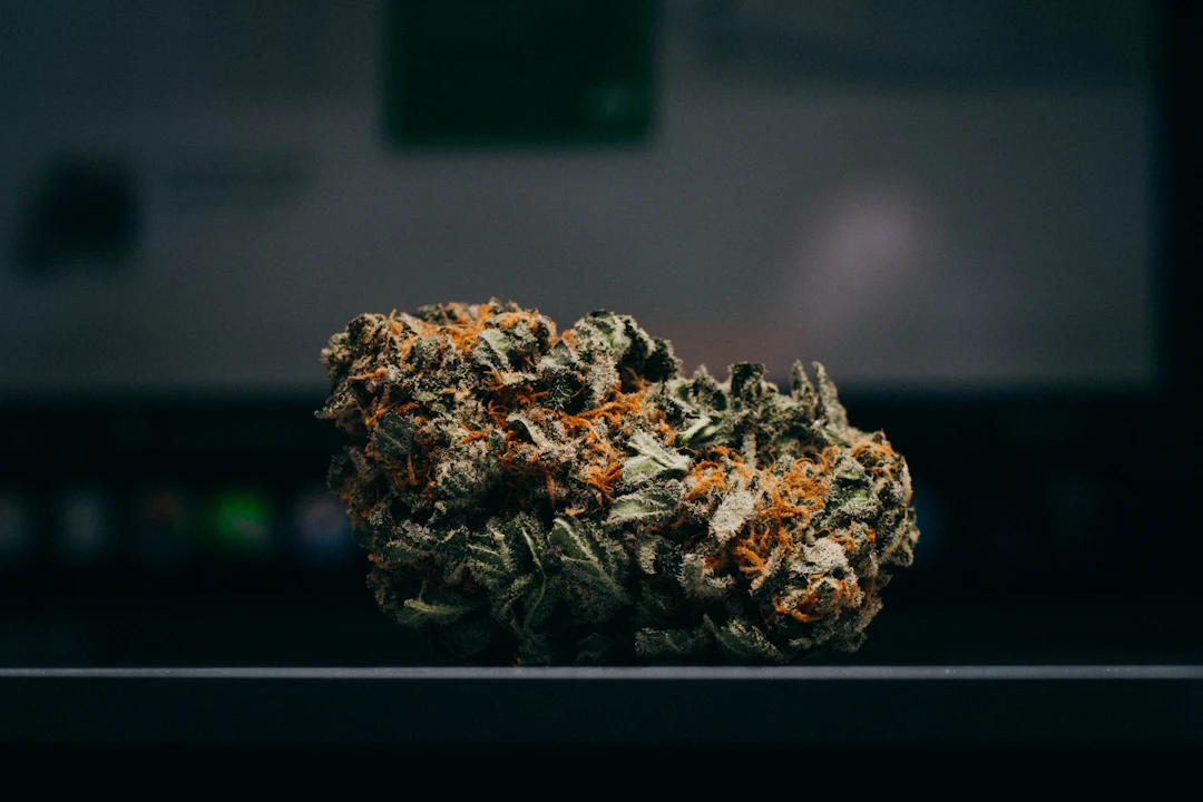 The Healing Potential of Cannabis in Cancer Treatment