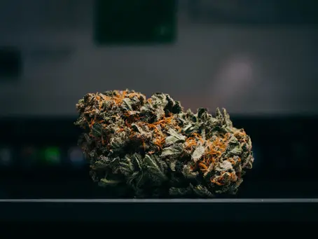 The Healing Herb: Exploring the Role of Cannabis in Cancer Treatment