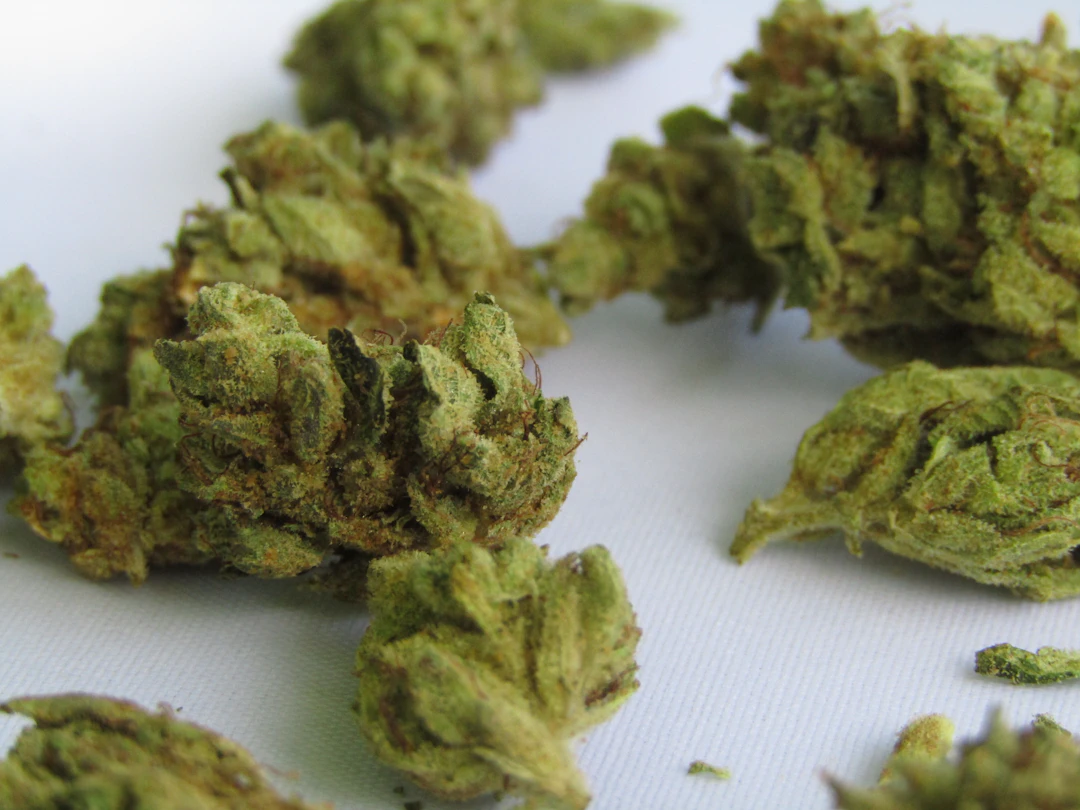 Understanding the Risks and Side Effects of Cannabis Use