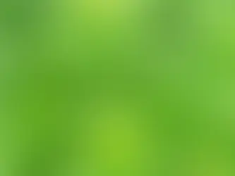 The Role of Cannabis in Senior Health: A Natural Approach to Wellness