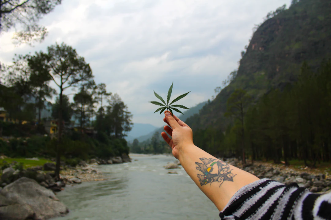 The Connection Between Cannabis and Spiritual Healing
