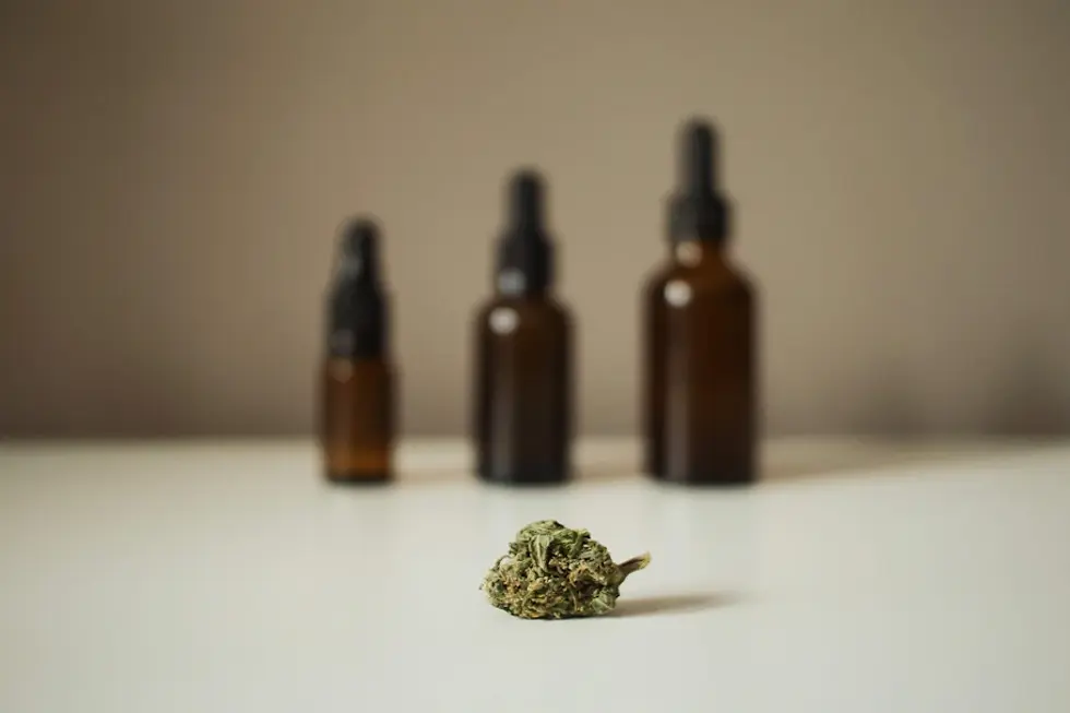 Cannabis and Chronic Illness: Discovering Natural Pathways to Symptom Management