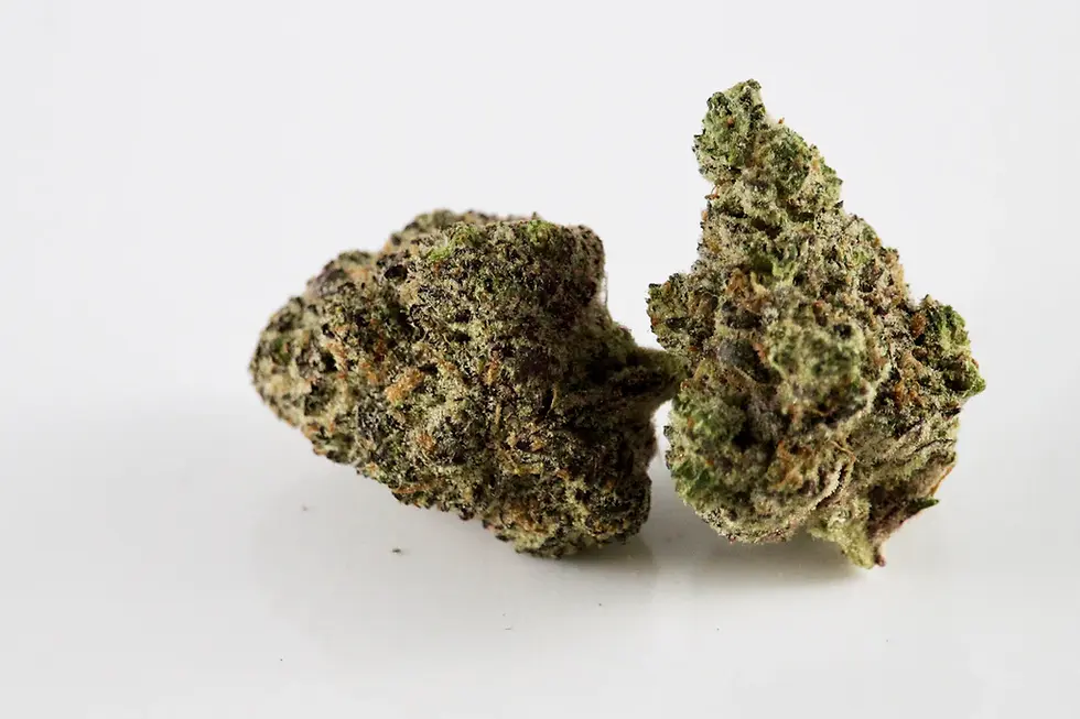 A Beginner's Guide to Cannabis for Wellness: Unlocking Nature's Healing Potential