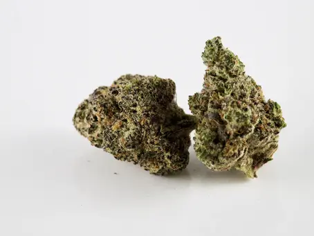Elevate Your Wellness: Choosing the Right Cannabis Strain