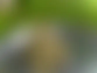 Cannabis and Pain Management: Unlocking the Healing Power of Nature