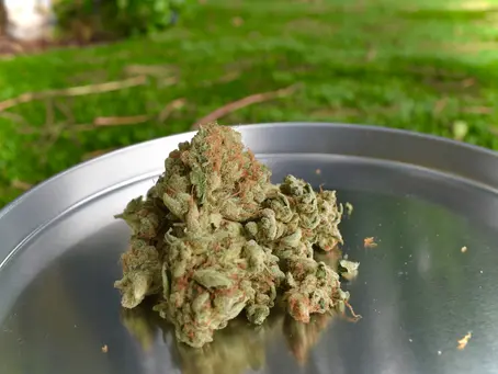 Unlocking Serenity: Using Cannabis for Anxiety Relief