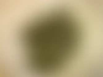 Unlocking the Entourage Effect: The Power of Full-Spectrum Cannabis