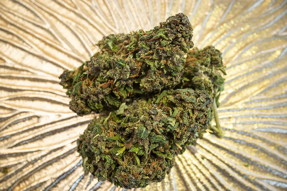 Unlocking the Entourage Effect: The Power of Full-Spectrum Cannabis