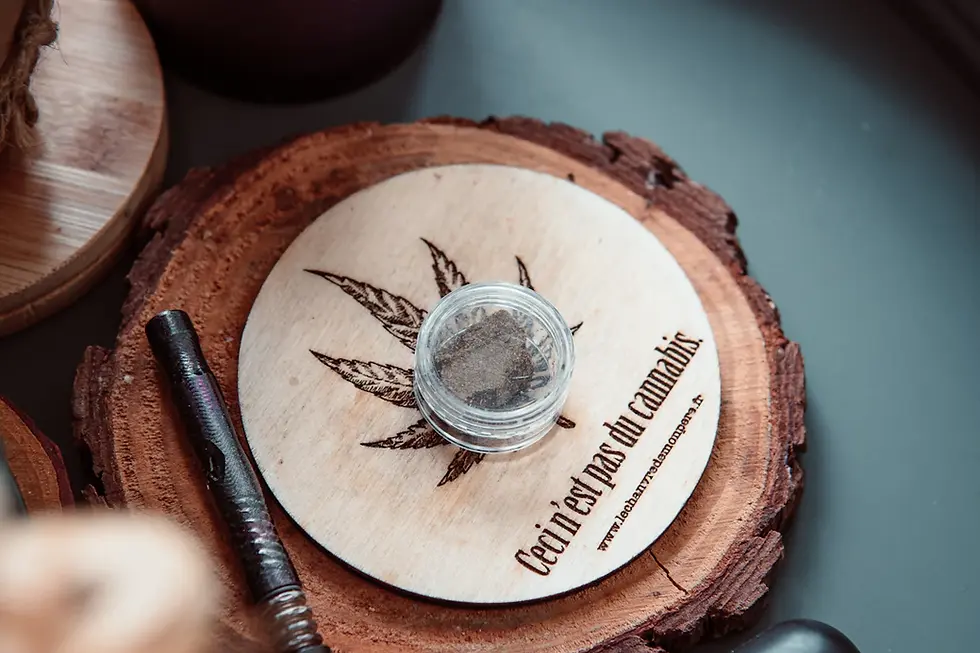 Building a Cannabis Support Community: Sharing Experiences for Wellness