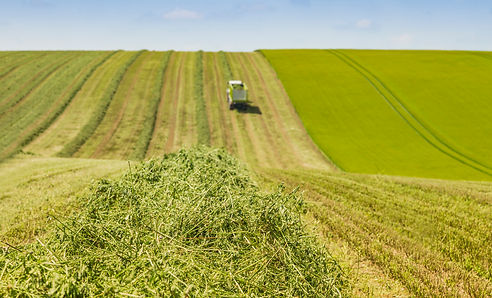 Claas, büttnerfilm, Fotografie, Luftaufnahme, Filmproduktion, Ravensburg, Oberschwaben