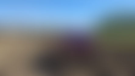 Mitigating High Labor Costs in Colorado's Agriculture: A Strategic Approach with Freightflow