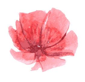 5.png