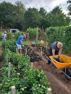 Planting in the Garden-1.webp