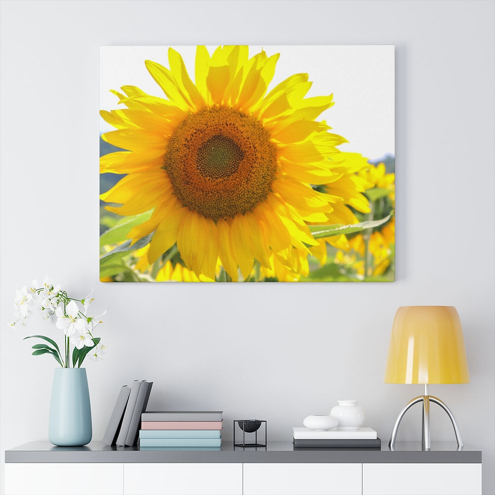 Thumbnail: Canvas Gallery Wraps
