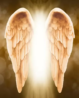 Angel wings.png