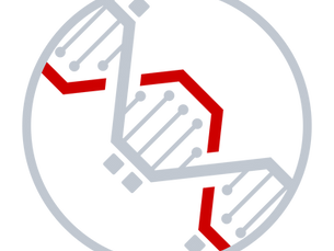 Unleashing Your Genetic Potential: The Power of DNA-Based Personal Training with Rush Fit