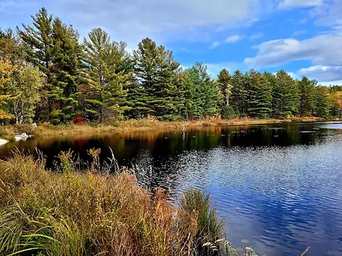 moosehorn 2.webp