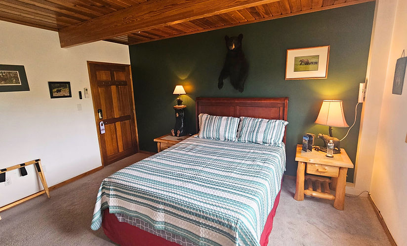 bear room 1.jpg