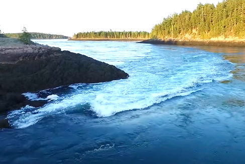 reversing falls pembroke_edited.jpg