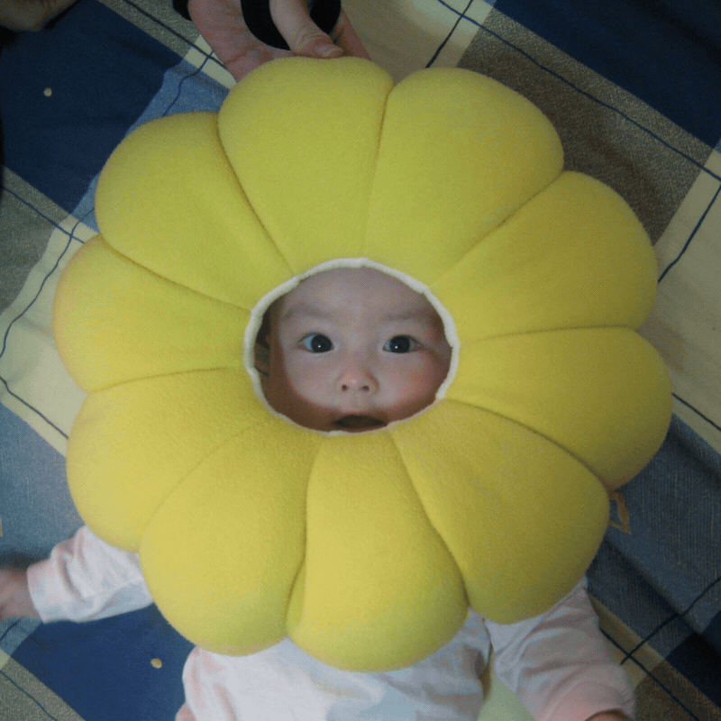 aurora.gif