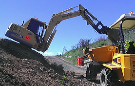 Dowling Excavations site dumper