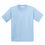 Thumbnail: Toddler light blue T-Shirt (with Logo)