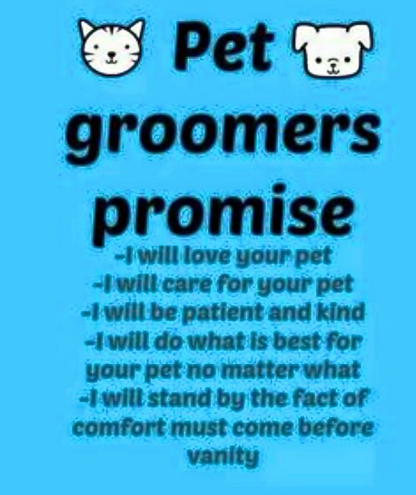 dog and cat care at barking cuts