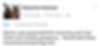 dog grooming lincoln, reviews