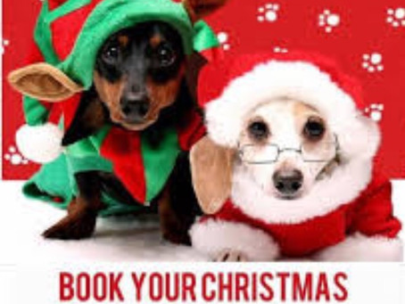 Don’t forget to book Xmas groom to avoid disappointment 🐾🐾
