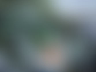 Nelson to host national secondary school MTB champs