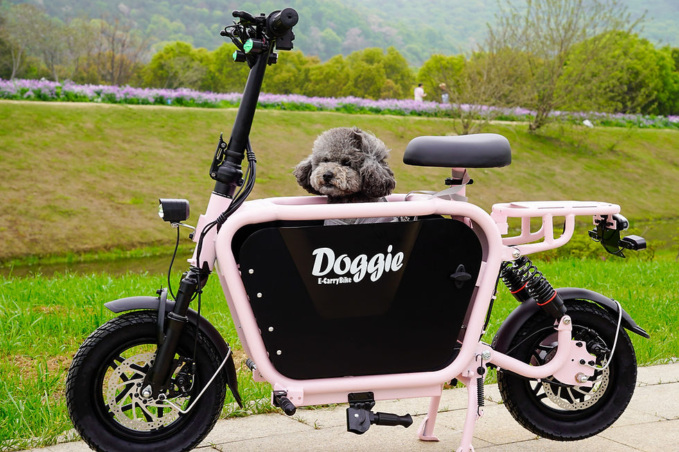 Thumbnail: Doggie_Lite　特定小型原付モデル　ライトピンク
