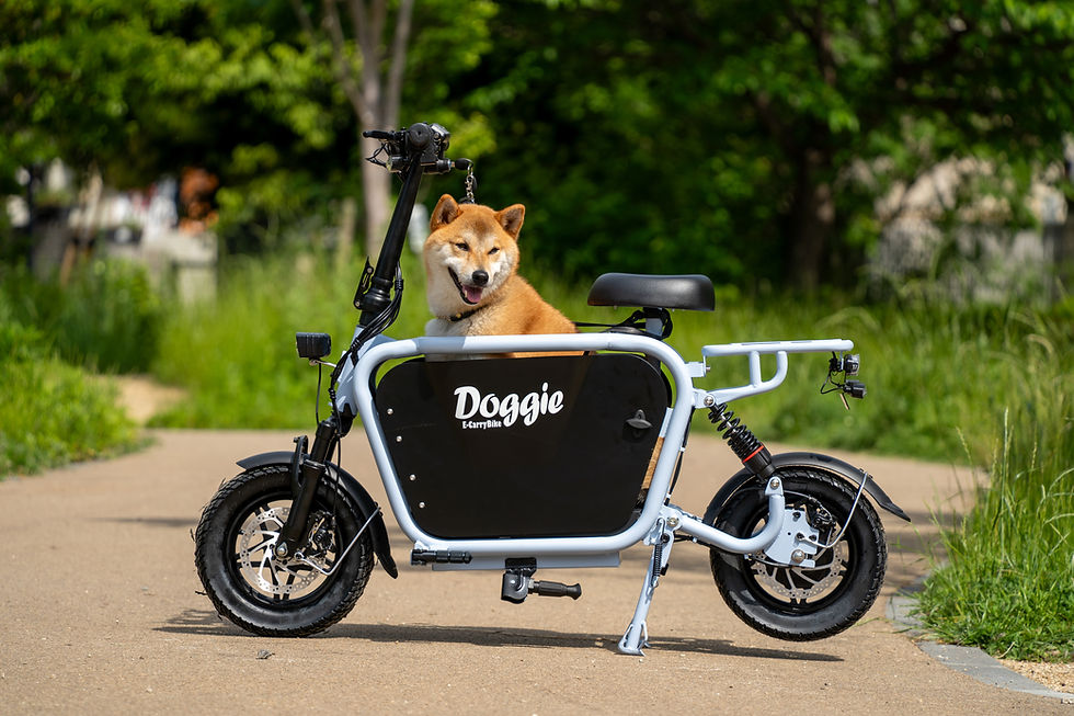 Thumbnail: Doggie_Lite　特定小型原付モデル　ライトブルー