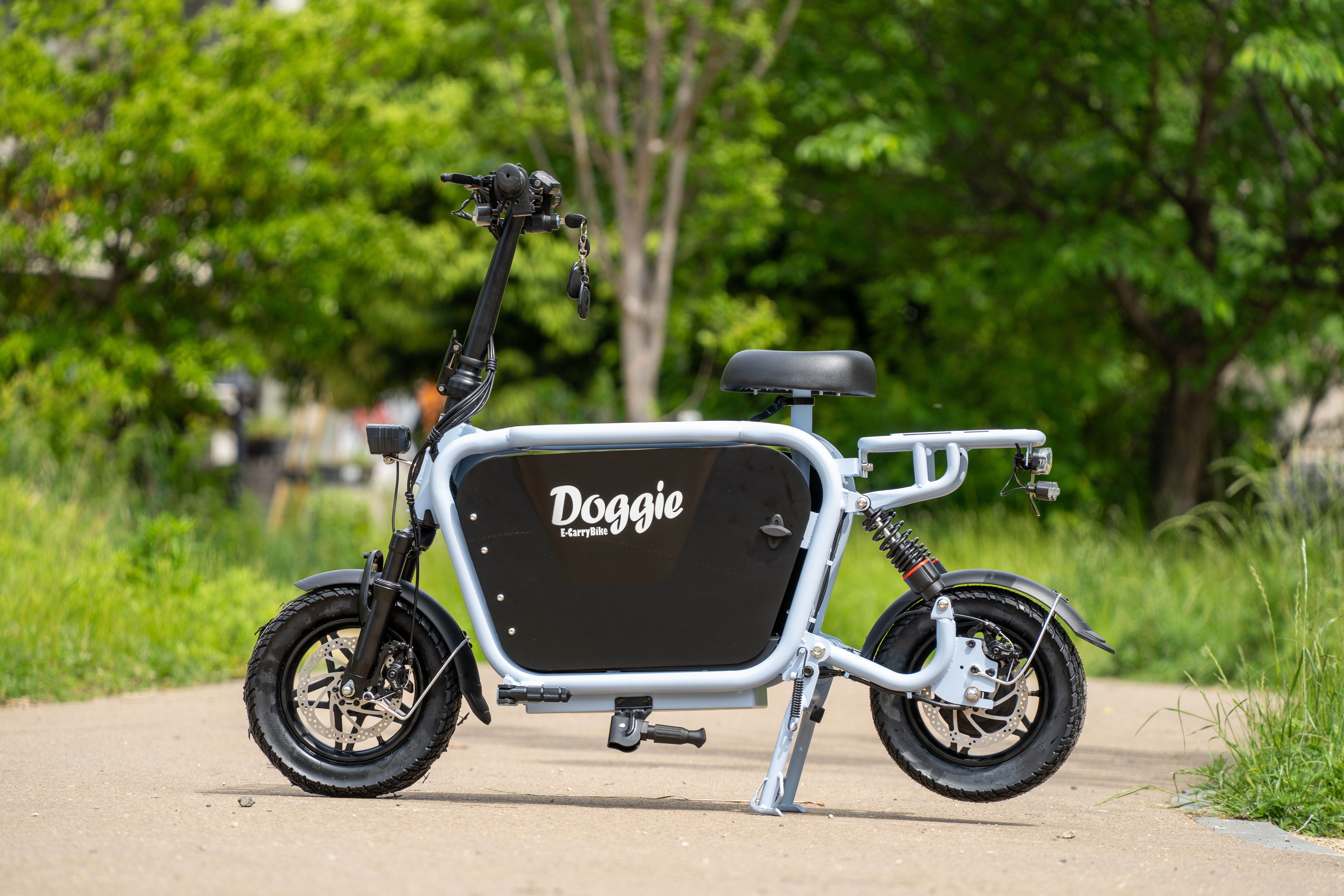 Doggie_Lite 特定小型原付モデル ライトブルー