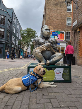 Tusk Gorilla Trail by Hannah Shergold