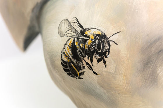 Tusk Gorilla Trail by Hannah Shergold