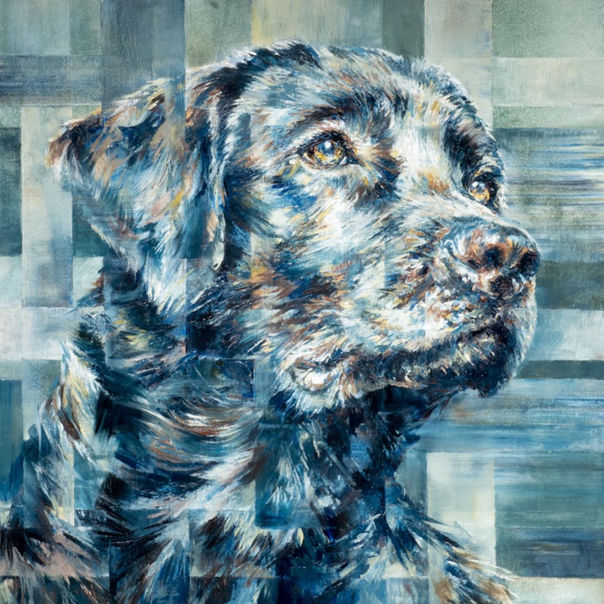 Labrador portrait by Hannah Shergold