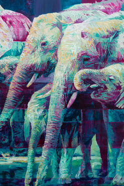 Contemporary Elephant painting by Hannah Shergold