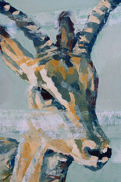 Antelope painting by Hannah Shergold