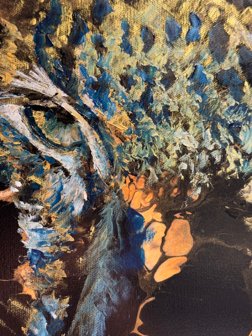 Black Leopard by Hannah Shergold